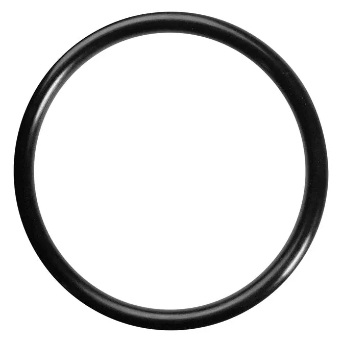Beckson Spare O-Ring DP40W