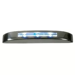 Deluxe Courtesy Light LED BL/SS LG
