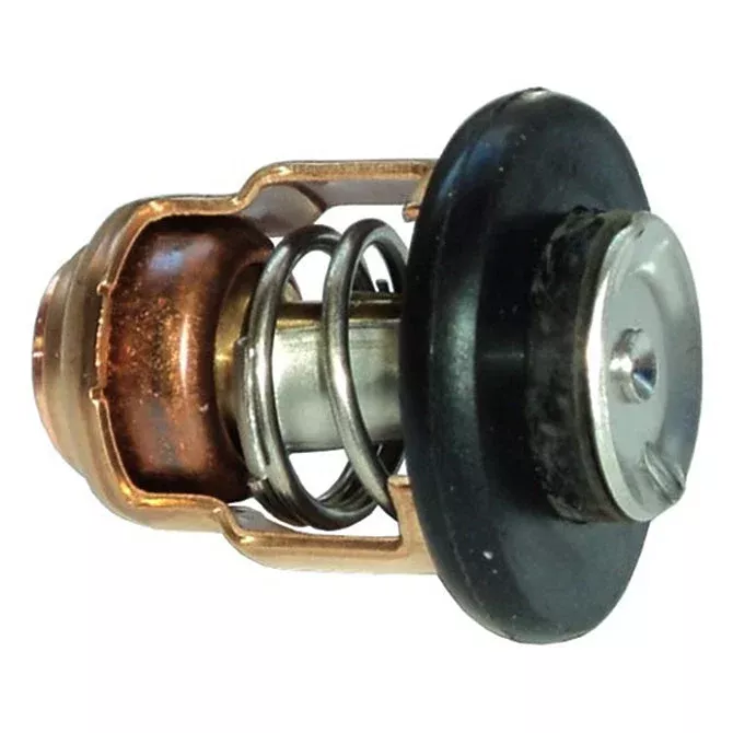 Yamaha Thermostat